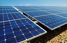 黄忠海副总理对建立助推太阳能电力项目发展机制作出指导