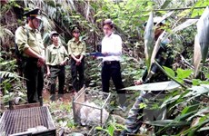 越南将承办有关打击野生动物非法交易第三次会议