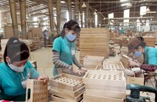 越南与欧盟就木材合法来源管理工作达成协议