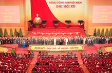 越共十二大：越南经济和政治体系趋于稳定