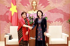 越南国会副主席阮氏金银会见印度驻越特命全权大使莎兰
