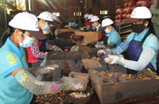 越南政府总理批准《越老贸易协定》执行计划
