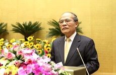 国会主席阮生雄：各级人民议会继续革新提高解决当地重要问题的效率