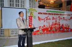 越南驻埃及大使馆举行招待会喜迎新春佳节
