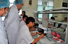 越南致力于科技人力资源培训