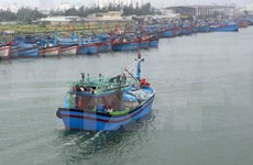 广南省渔民兴高采烈出海“冲年喜”