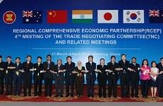 《区域全面经济伙伴关系协定》第11轮谈判在文莱举行