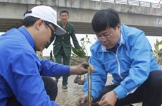 胡志明市共青团发起2016年植树节活动