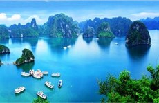 俄罗斯游客被选为2016年越南国际旅游博览会荣誉游客