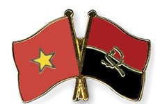 安哥拉愿与越南扩大合作