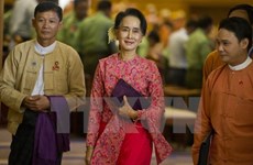 缅甸提前总统候选人推举日期