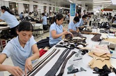 英国媒体：TPP有助于加大越南纺织品服装出口力度
