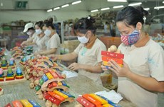 世界玩具制造商协会拟在胡志明市投资建厂