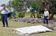 法属留尼汪岛又出现疑似MH370客机的第二个残骸