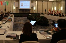 越南参加在新加坡举行的RECAAP-ISC执行委员会成员会议