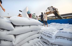 2016年第一季度芹苴市大米和水产品出口额猛增