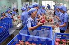 柬埔寨每年出资6亿美元来进口猪肉和蔬果
