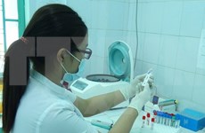 越南尚未发现寨卡病毒感染病例