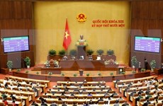  越南第十三届国会第十一次会议：国会审议国会若干领导职位免职名单