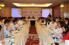 VTFA高级咨询专家：越南应建立国内供应商数据库