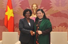 越南和莫桑比克加强议会间合作 促进两国各领域全面发展