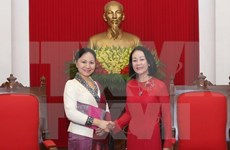 越共中央民运部部长张氏梅会见老挝妇联会代表团