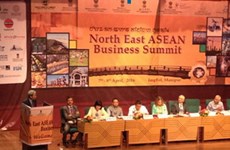 越南驻印度大使出席印度东北部与东盟各国经济对接会