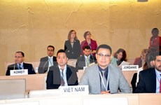 越南代表出席联合国防止暴力极端主义会议