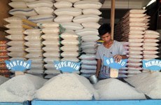 印尼力争对10个国家出口大米