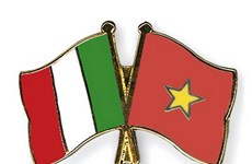 连接越南与意大利企业的新动力