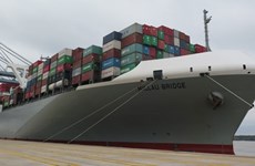 超大型集装箱船米洛桥轮成功靠泊越南盖梅港CMIT码头