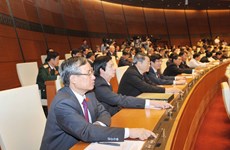越南第十三届国会第十一次会议发表第十九号公报