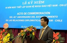 越南外交部副部长何金玉：越智两国合作潜力有待挖掘
