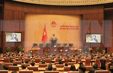 越南第十三届国会：责任、民主和印象深刻