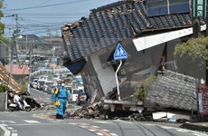 越南努力保护遭受日本地震影响的越南公民
