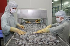 越南对中国虾类产品出口额达6480万美元