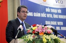 世贸组织总干事：越南充分利用入世机遇