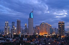 印尼即将推出第十二期经济刺激政策