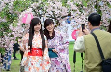 日本樱花节暨日本投资研讨会即将在同奈省举行