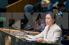 联合国呼吁各国抓紧实施可持续发展目标