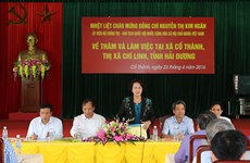 越南国会主席阮氏金银视察海阳省选举筹备工作