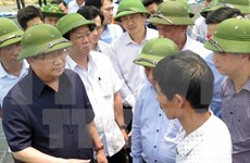 郑廷勇副总理责成有关部门尽早确定河静省鱼类大量死亡的原因