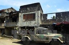 菲军方击毙14名恐怖分子