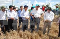 联合国常务副秘书长对越南槟椥省遭受干旱及海水入侵现象造成损失进行实地考察