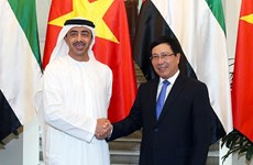 政府副总理兼外长范平明与阿联酋外交与国际合作部部长进行会谈
