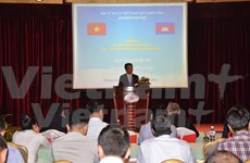 越南驻柬埔寨大使：越柬经济合作仍有巨大的余地和潜力