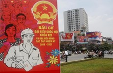 国际媒体纷纷报道越南第十四届国会和各级人民议会换届选举投票活动