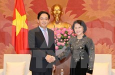 越南国会主席阮氏金银接见中国驻越大使洪小勇