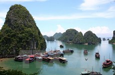 越南旅游市场活跃发展