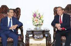 越南政府副总理张和平会见日本驻越南大使大岛浩